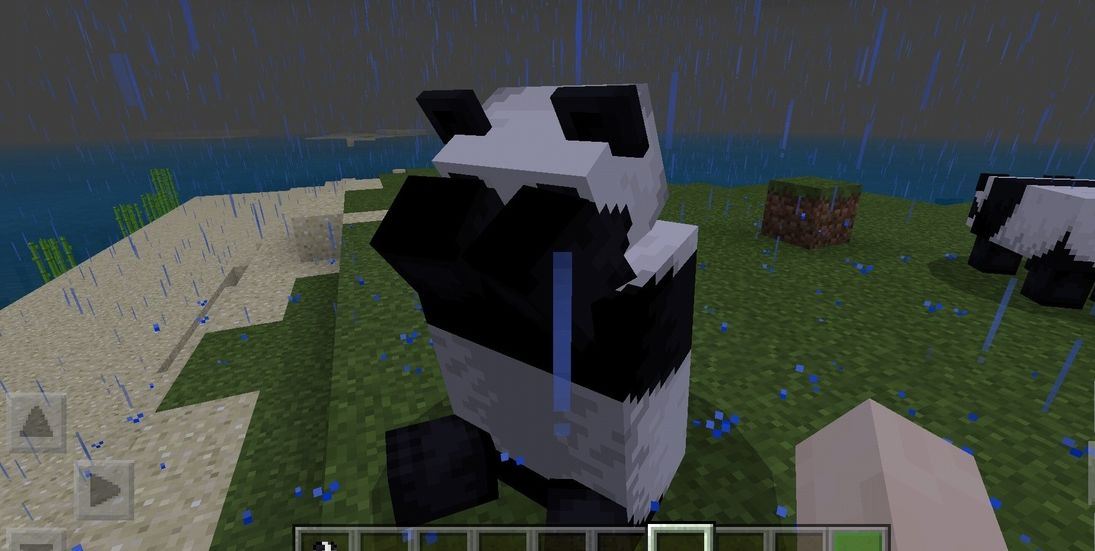 Панда в Minecraft PE 1.8.0.8