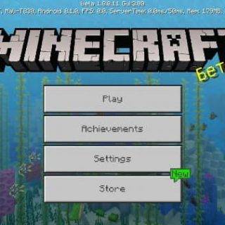 Photo-Minecraft-PE-1-8-0-11