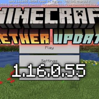 Скачать Майнкрафт 1.16.0.55 - Nether Update