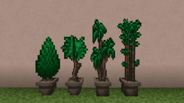 Как выглядят новые деревья