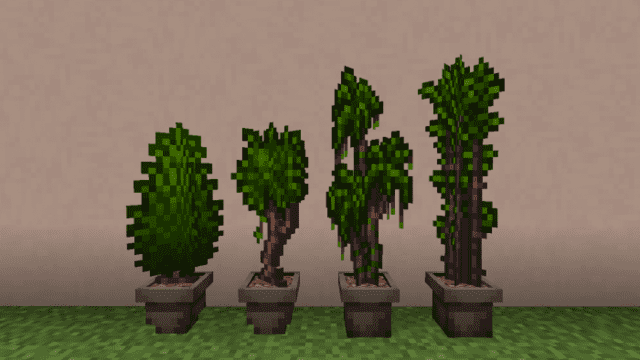 Как выглядят новые деревья 2