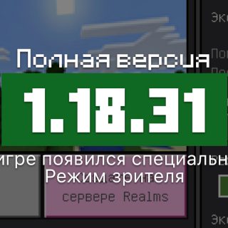 Превью версии 1.18.31