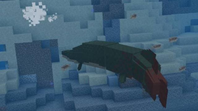 Как выглядят рыбы в игровом мире