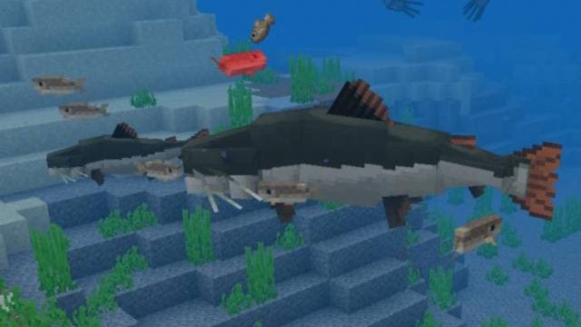 Как выглядят рыбы в игровом мире 4