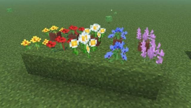 Как выглядят новые варианты растений в игре 3