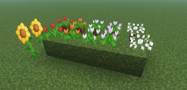 Как выглядят новые варианты растений в игре 4