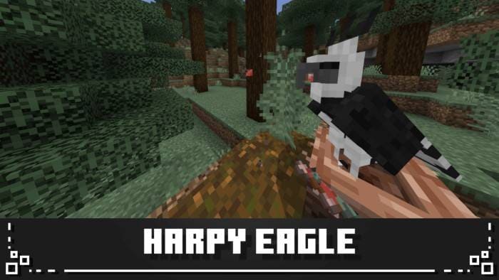 Скачать мод на орлов и перья в Minecraft PE