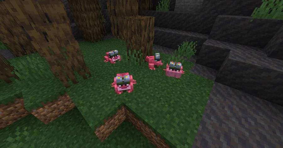 Скачать текстуры на обновленных лягушек в Minecraft PE