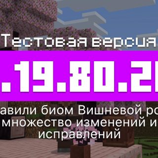 Превью Майнкрафт 1.19.80.20