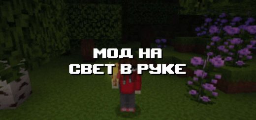 Превью дополнения на свет в руке