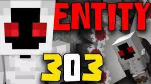 entity 303
