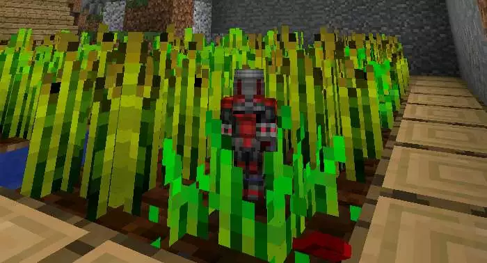 Photo-3-mod-na-muravya-Minecraft-PE