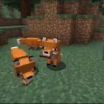 Лисы в Minecraft Bedrock Edition